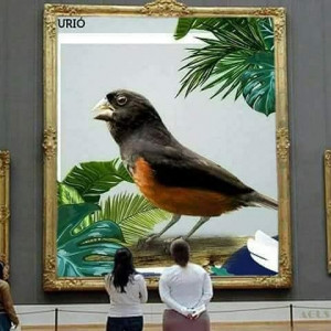 Criadouro Morais