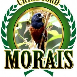 Criadouro Morais