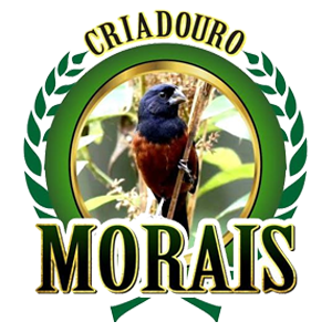 Logotipo